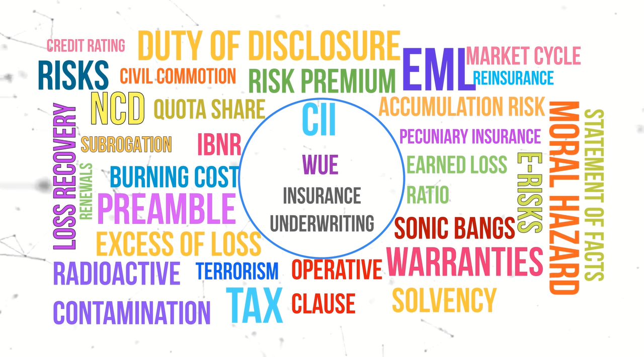 Course Image WUE Insurance Underwriting Process 